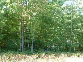 2208 Sommerset Drive LOT 11 Alpena, MI 49707