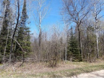 River Ridge Rd LOT 37, Nashville, WI 54566