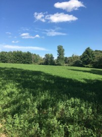 PARCEL Parkview Rd, Glenmore, WI 54208