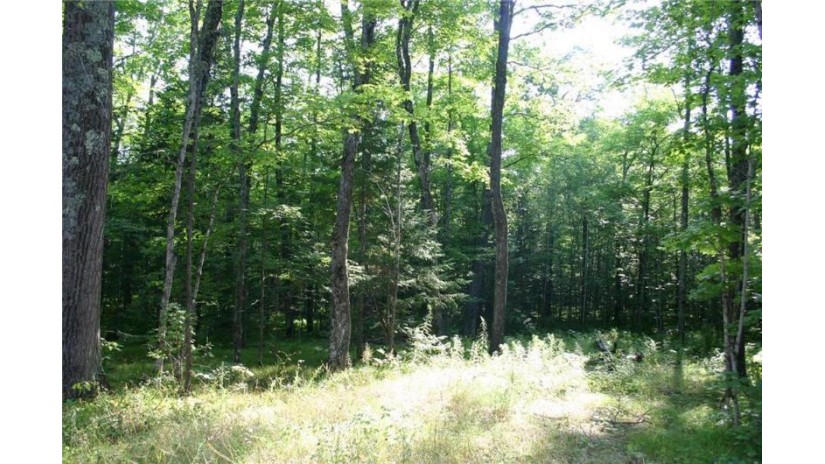 Lot Cricket Lane Winter, WI 54896 by C21 Woods To Water $9,900
