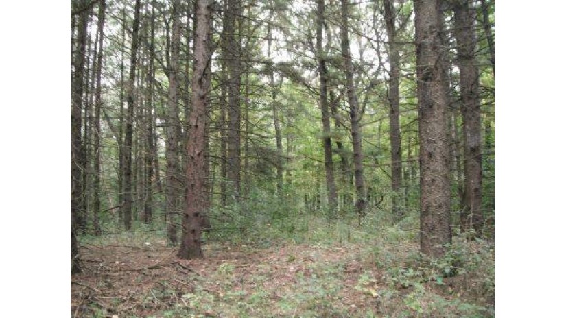 Lot 13 Alpine Trail Wautoma, WI 54982 by North Central Real Estate Brokerage, Llc $14,800