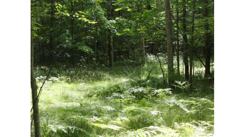 Lot 7 Baron Ln Arbor Vitae, WI 54568 by First Weber - Minocqua $29,000