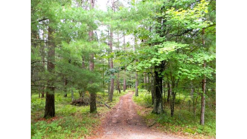 Lot 36 Leisure Dr Hazelhurst, WI 54531 by Re/Max Property Pros-Minocqua $12,500