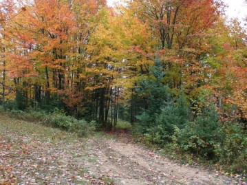 Acreage Hwy 17, Sugar Camp, WI 545401