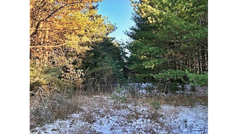 37.5 ACRES Cemetery Rd Pembine, WI 54156 by Hanson Realty, Inc (WI/MI) $84,900