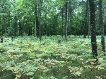 1.5 ACRES Squaw Creek And Summer Cloud RDS., Amberg, WI 54102