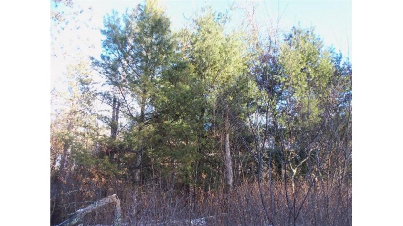 LOT 6 Spaulding Rd Road Grantsburg, WI 54840 by Woods & Water Real Estate Llc, Ellsworth $17,900