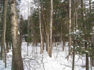 Cliff View Road, Nasewaupee, WI 54235