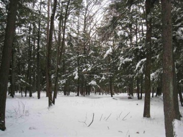 Cliff Top Road, Nasewaupee, WI 54235