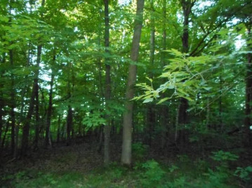 Lot 10 Reidner Ln, Centuria, WI 54824