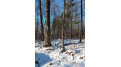 Lot 0 Grouse Lane Hayward, WI 54843 by C21 Woods To Water $25,000