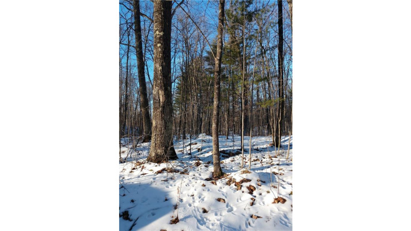 Lot 0 Grouse Lane Hayward, WI 54843 by C21 Woods To Water $25,000