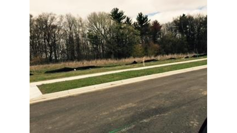 1585 Drusillas Way LOT 72 Howard, WI 54313 by Radue Realty $54,900