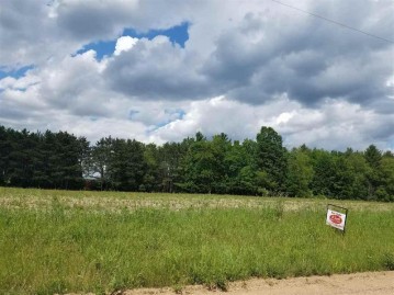 Lot 1 Saumer Road, Rosholt, WI 54473