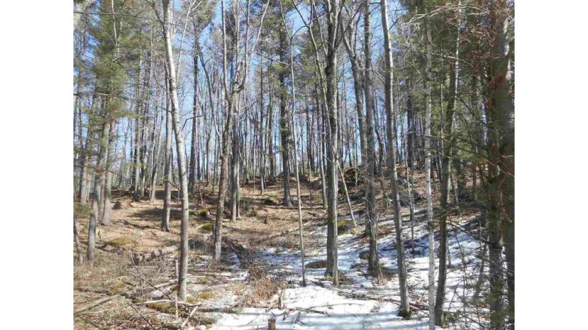 Fairway Drive Lot 2 Iola, WI 54945 by Homestead Realty Sales - Iola, Llc $7,900