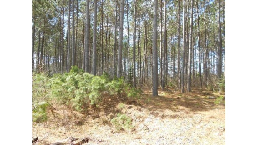 On Towering Pines Ln Lot 6 Crescent, WI 54501 by Century 21 Burkett & Assoc. $19,900