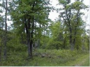 Lot 16 Wind Song Rd, King, WI 54487