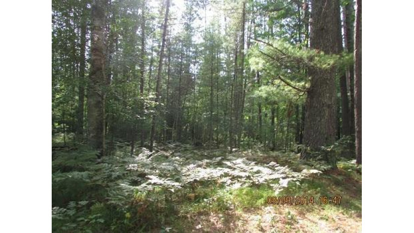 LT.7 White Pine Ln Beecher, WI 54156 by Pine Cone Realty LLC $20,000