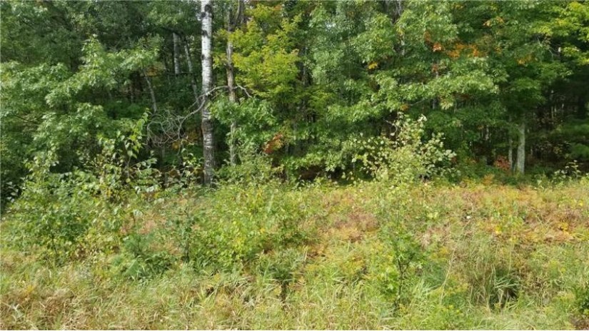 Lot 0 Tranus Lake Road Springbrook, WI 54875 by Keller Williams Realty Integrity/Hudson $48,000