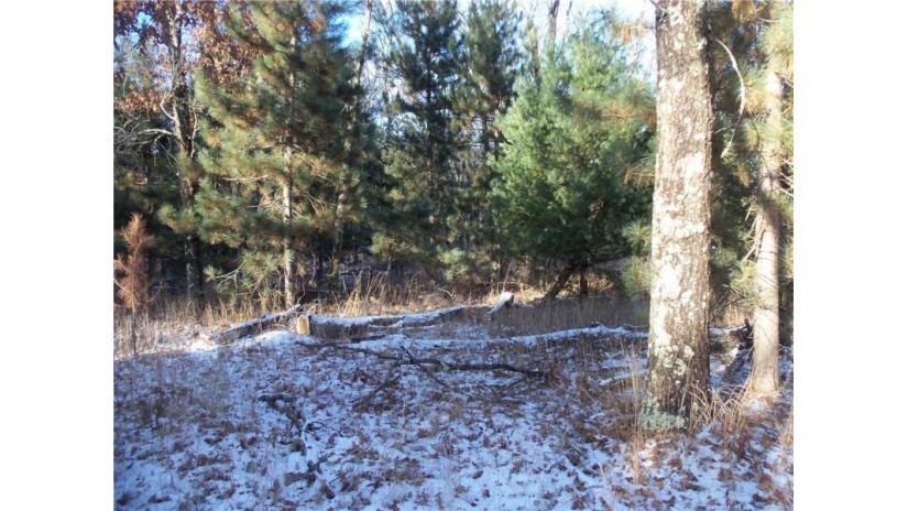 LOT 5 Spaulding Rd Road Grantsburg, WI 54840 by Woods & Water Real Estate Llc, Ellsworth $17,900