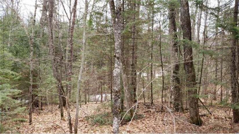 Lot 2 Twin Bay Road Hayward, WI 54843 by C21 Woods To Water $16,900