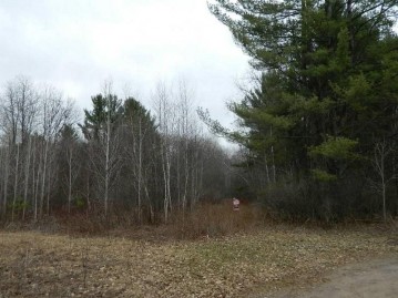 On Birch Lake Road, Exeland, WI 54813