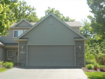 523 Mill Ridge Drive, Byron, IL 61010