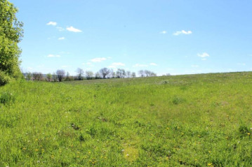 40 AC Towns Rd, Sylvester, WI 53570