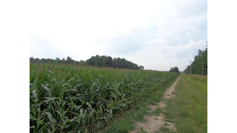 +/-111.99 Acres Elm Avenue Stetsonville, WI 54480 by Dixon Greiner Realty, Llc $370,000