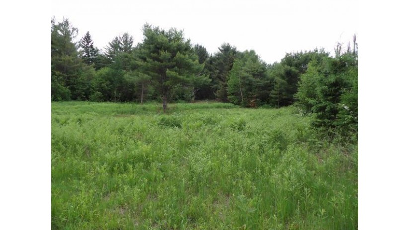 100ac On Cth Q Enterprise, WI 54463 by Norwisrealty.com Llc $125,000