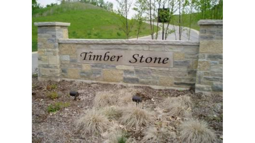 LT94 Timber Stone Subdivision Richfield, WI 53033 by Realty Executives - Elite $108,500