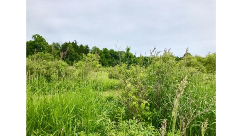 7.638 ACRE State Road 32 Herman, WI 53020 by Pleasant View Realty, LLC $99,900