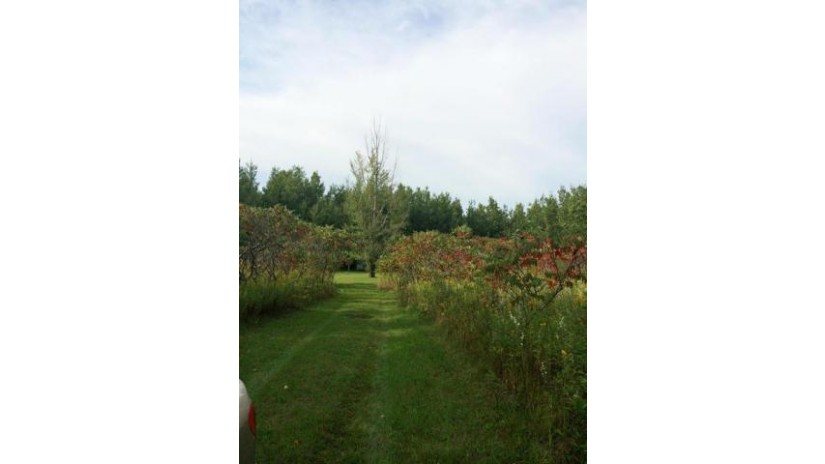 N10273 Forest Rd Middle Inlet, WI 54177 by North Country Real Est $20,500