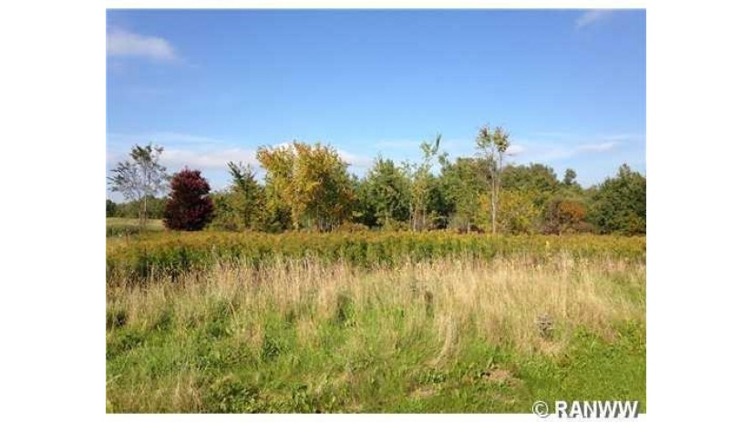 Lot 55 119th Street Chippewa Falls, WI 54729 by Elite Realty Group, Llc $20,500