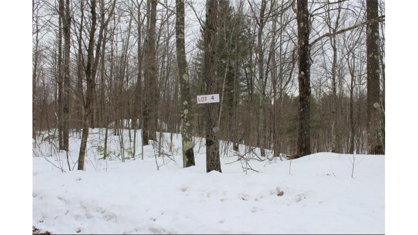 Lot 4 Hidden Woods Dr Drive Hayward, WI 54843 by C21 Woods To Water $16,900