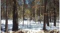 Lot 66 Bent Tree Court Court Danbury, WI 54830 by Voyager Village Realty Llc $950