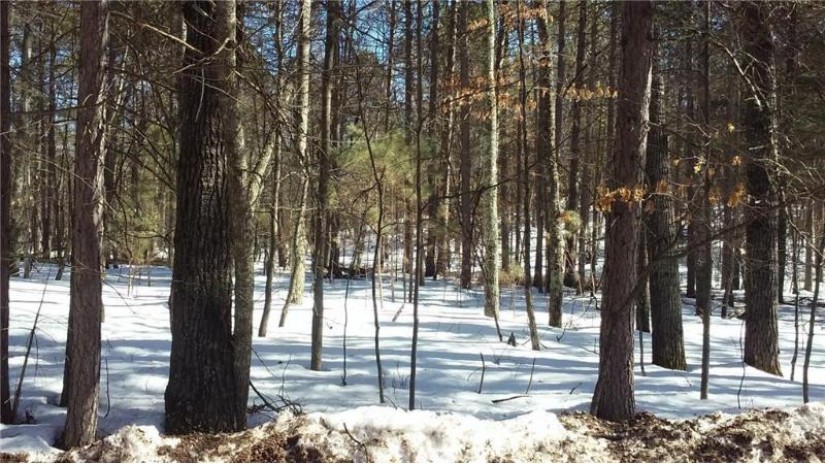 Lot 66 Bent Tree Court Court Danbury, WI 54830 by Voyager Village Realty Llc $950
