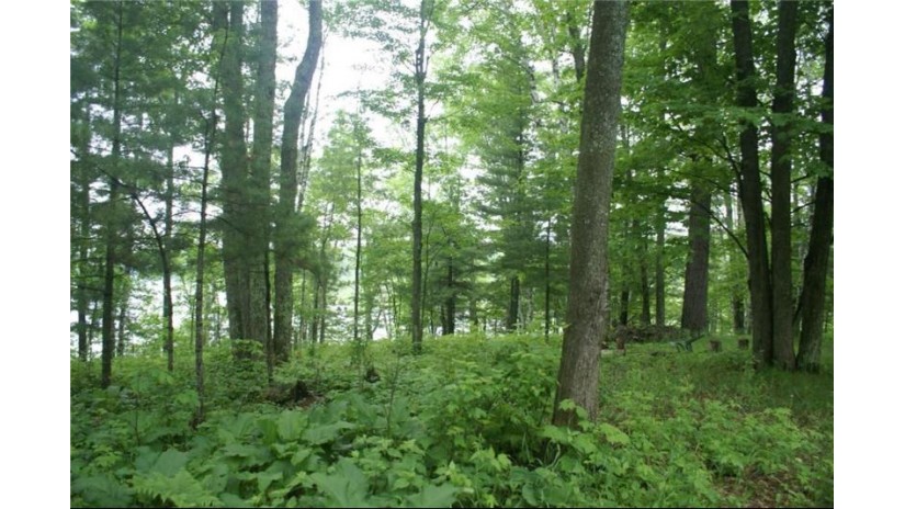 Lot 16 Deer Trail Road Iron River, WI 54847 by Coldwell Banker Realty Iron River $19,900