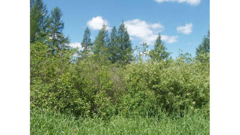 on Kinney Road Road Glidden, WI 54527 by Birchland Realty Inc./Park Falls $27,900