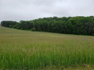 Lot 10 15-15 1/4, Almena, WI 54805