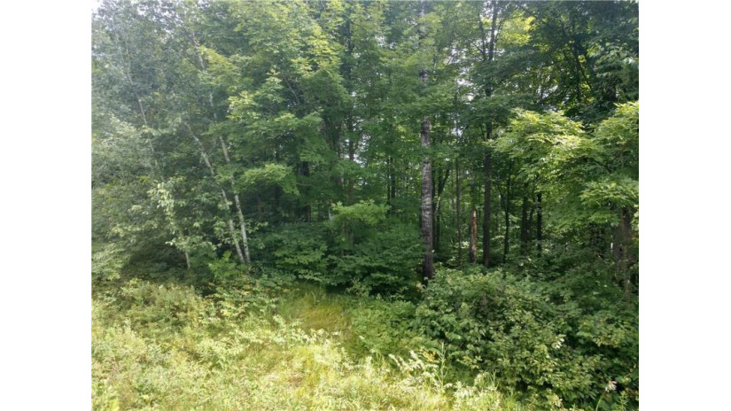 Lot 0 Circle B Road Winter, WI 54896 by C21 Woods To Water $25,000