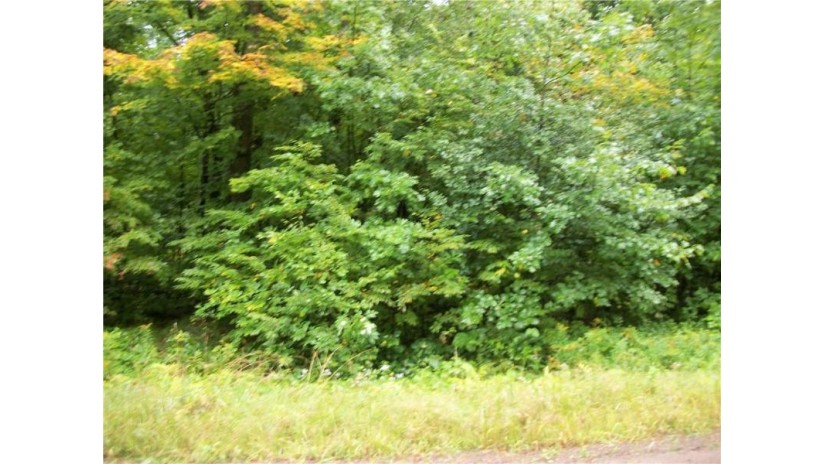 Lot 12 Lanark Birchwood, WI 54817 by Dane Arthur Real Estate Agency/Birchwood $7,000