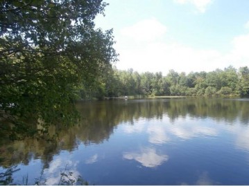 Bear Lake Shores LOT 23, Blackwell, WI 54566