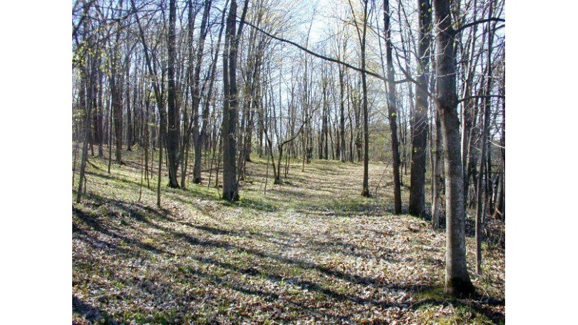 7.4 AC Haney Ridge Rd Scott, WI 53805 by Century 21 Affiliated $29,900