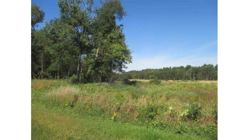 21.45 AC Ember Ln Harris, WI 53949 by First Weber Inc $73,500