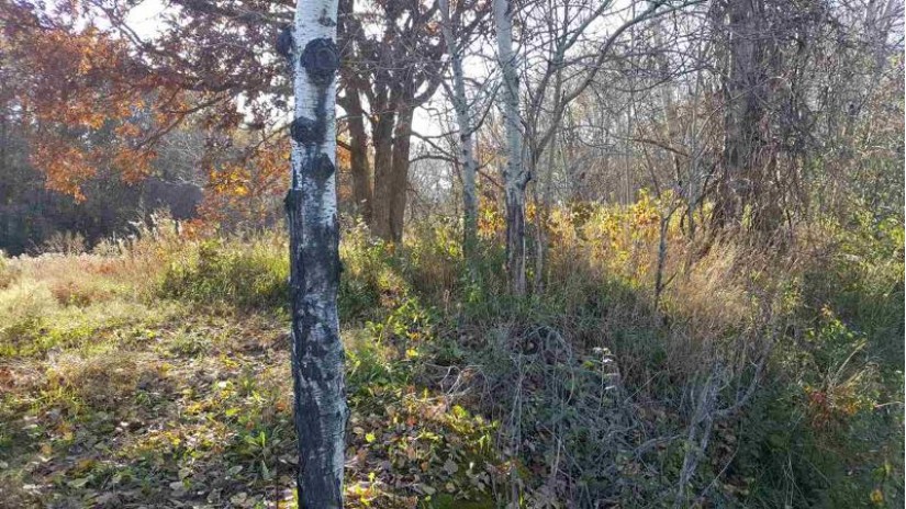 5 AC Vaughn Rd Springvale, WI 53923 by Century 21 Affiliated $69,900