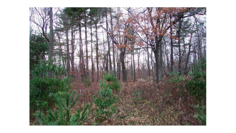 Lot 1 670th Ave Menomonie, WI 54751 by Rassbach Realty Llc $34,900