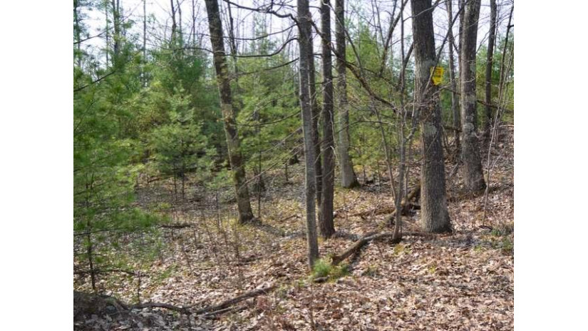 Lot 2 Hixon Rd Minocqua, WI 54548 by Re/Max Property Pros-Minocqua $59,900