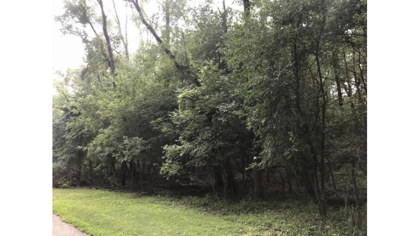 LT7413 Opal Rd Geneva, WI 53147 by Keefe Real Estate, Inc. $42,000