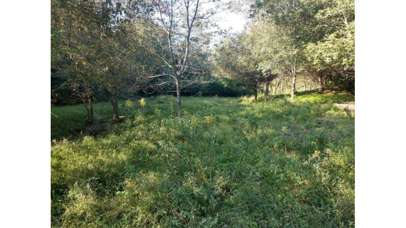 LOT 2 Orbit Ave Sheldon, WI 54651 by Simonson Real Estate & Auction $55,000